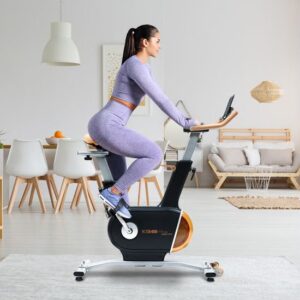 Vélo de Spinning Professionnel