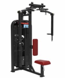 Machine Pec Fly / Rear Delt Professionnelle – Renforcement des Pectoraux et des Épaules